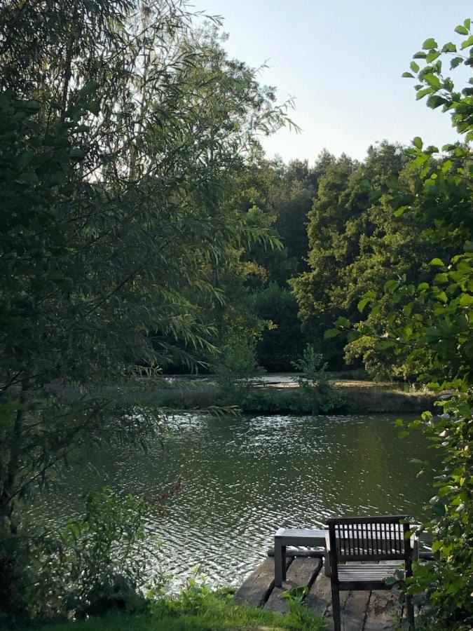 Loigné-sur-Mayenne La Francoisiere B&B 외부 사진
