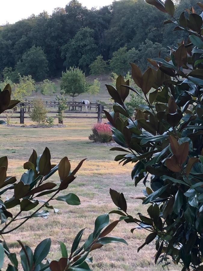 Loigné-sur-Mayenne La Francoisiere B&B 외부 사진