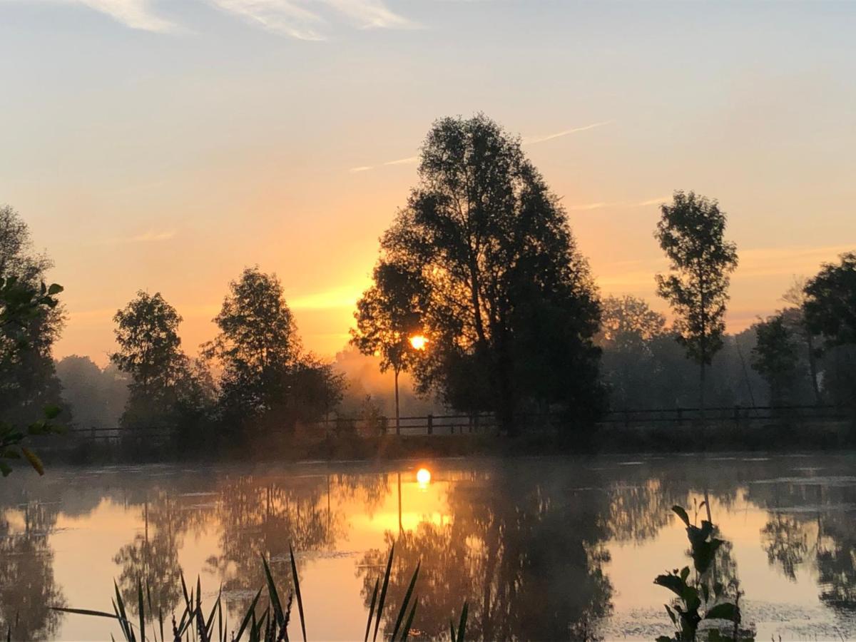 Loigné-sur-Mayenne La Francoisiere B&B 외부 사진