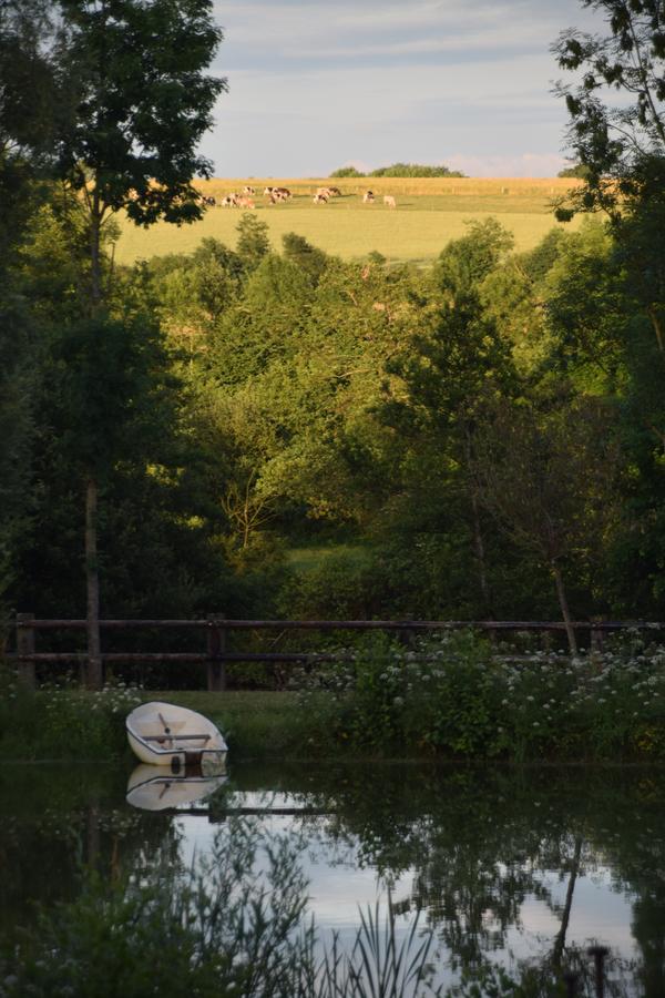 Loigné-sur-Mayenne La Francoisiere B&B 외부 사진